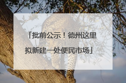 批前公示！德州这里拟新建一处便民市场